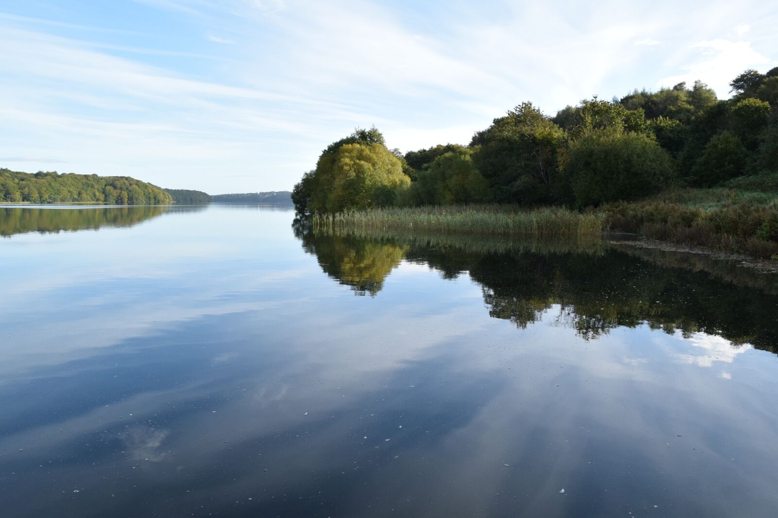 Nikon D5300 sample photo. Forest lake, water, trees photography