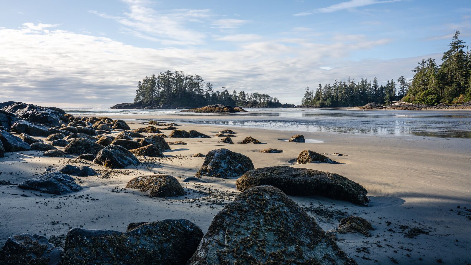 Sony FE 24-105mm F4 G OSS sample photo. Beach, tofino, vancouver island photography