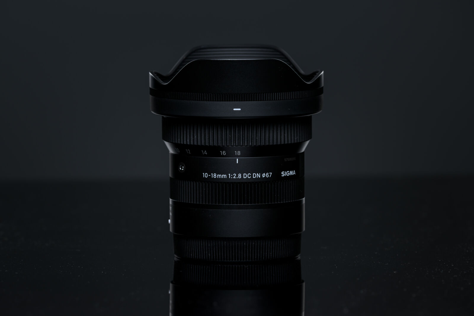 Nikon AF-S Nikkor 200-400mm F4G ED-IF VR sample photo. Sigma 10-18mm f2.8 dc photography
