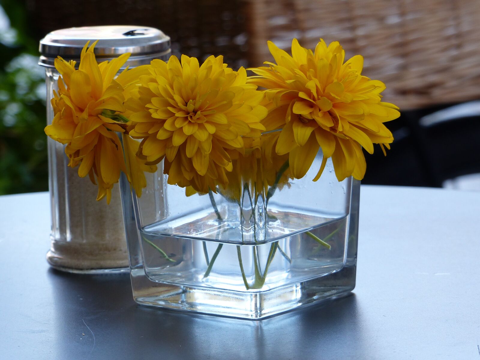 Panasonic Lumix DMC-FZ200 sample photo. Nice ambience, table flowers photography