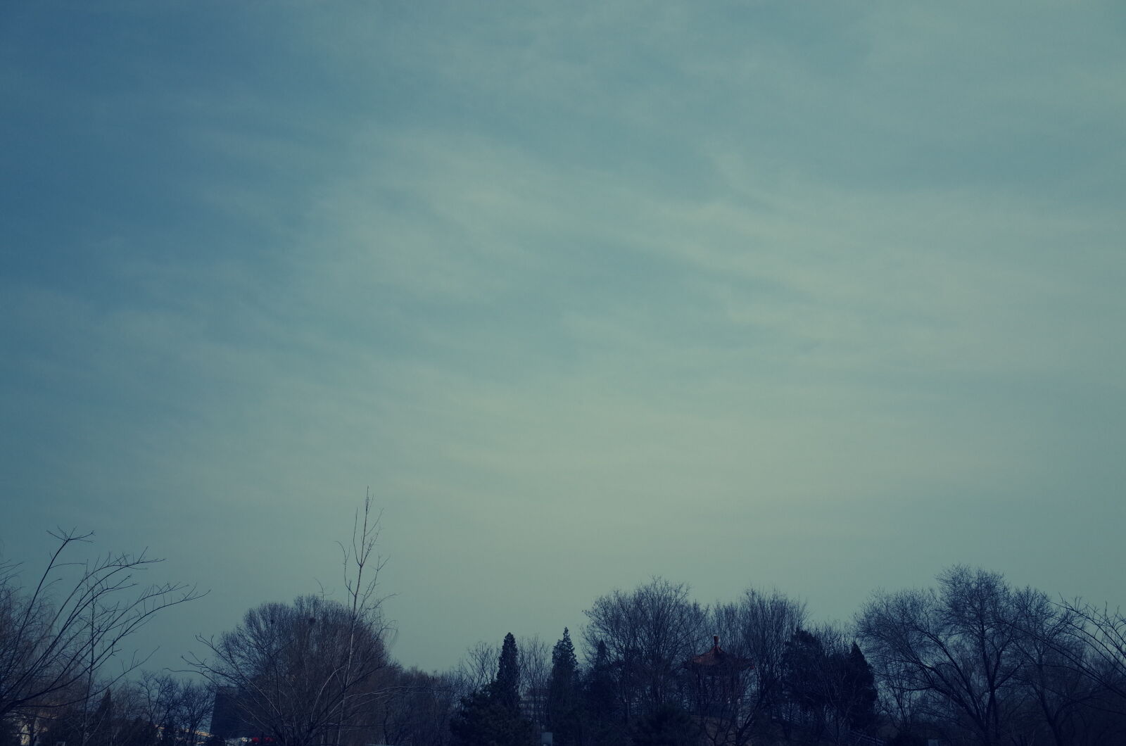 Ricoh GR + GR Lens sample photo. Cloud, cloudy, park, sky photography