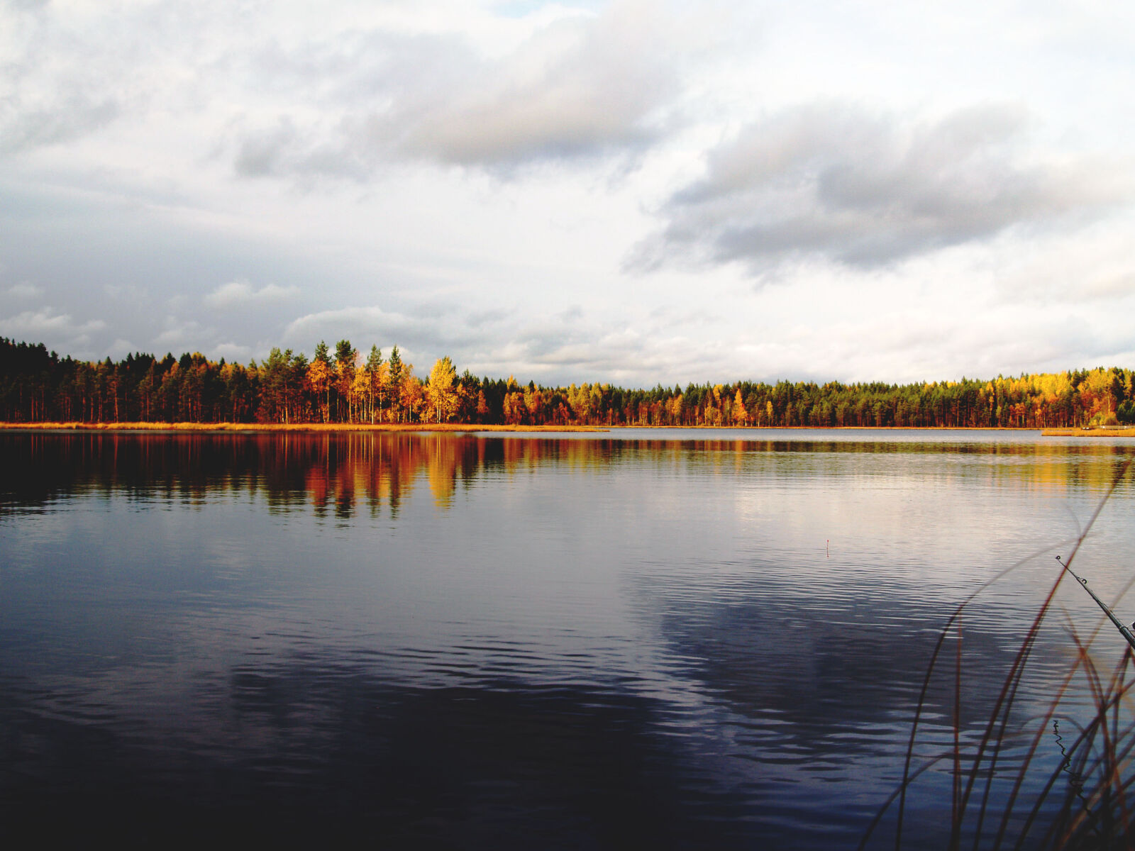 Olympus E-500 (EVOLT E-500) sample photo. Autumn, clouds, daylight, forest photography