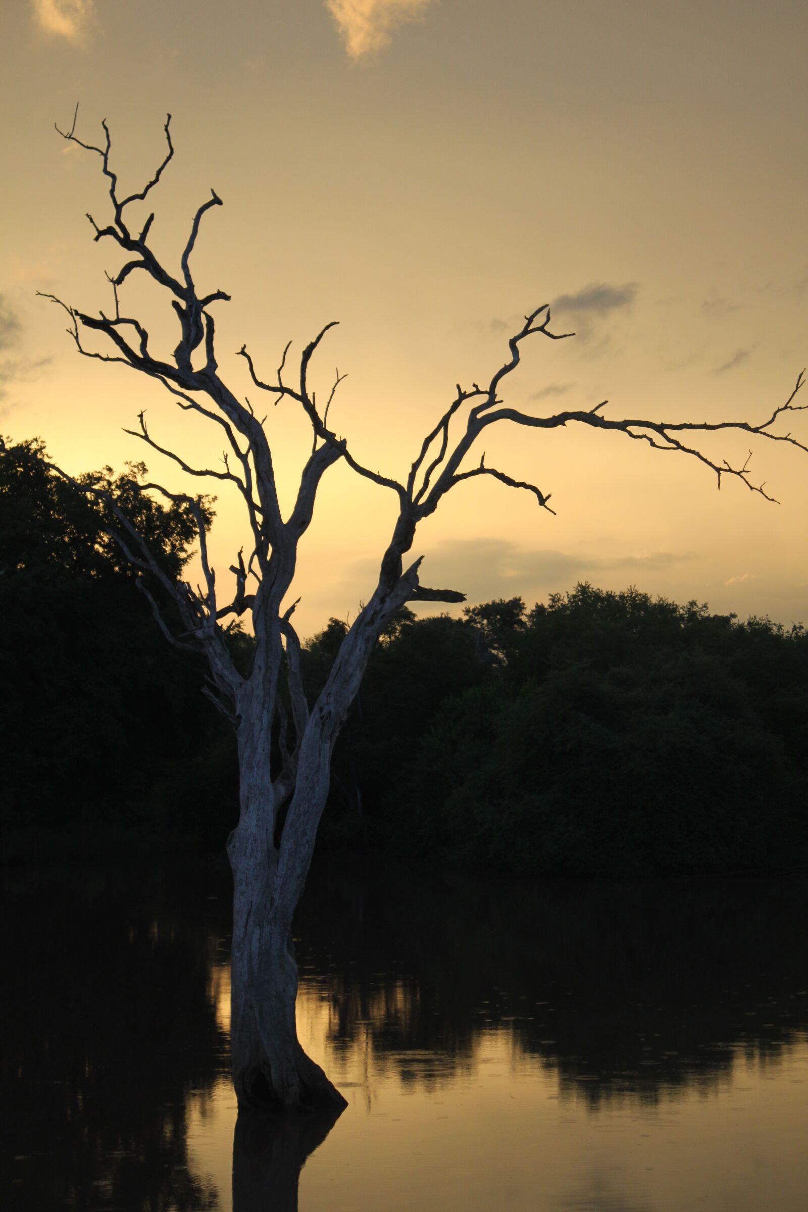 Canon EOS 500D (EOS Rebel T1i / EOS Kiss X3) sample photo. Africa, wilderness, nature photography