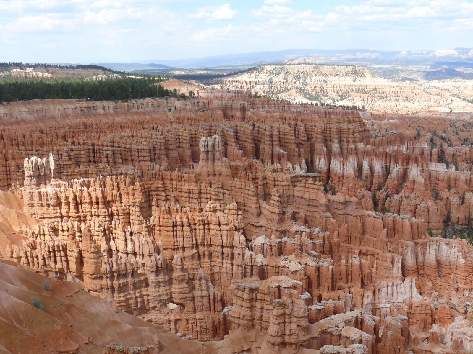 Panasonic DMC-FZ50 sample photo. Nature, bryce canyon, utah photography