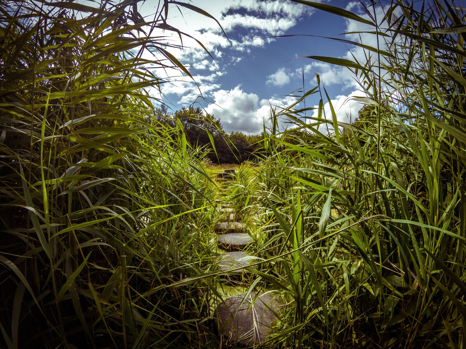 GoPro Hero5 Black sample photo. Path, water, stones photography
