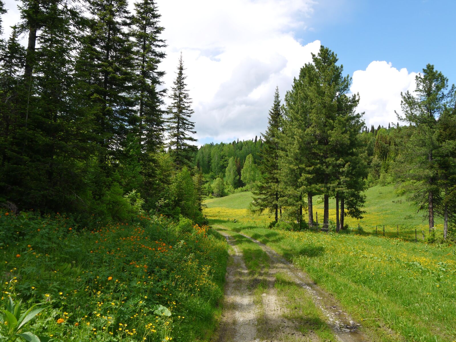 Panasonic Lumix DMC-GF3 sample photo. Landscape, summer, road photography