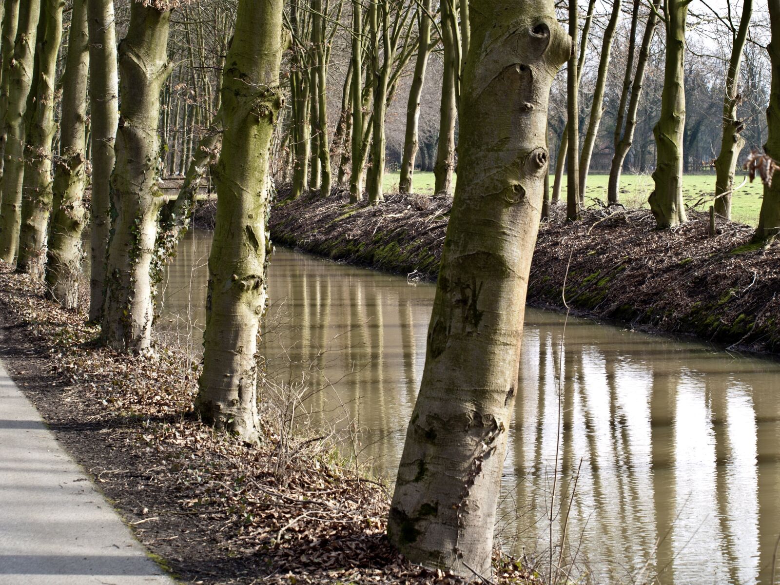 Olympus E-420 (EVOLT E-420) sample photo. Water, canal, trees photography