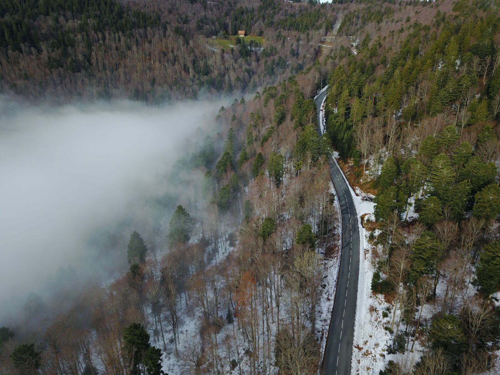 DJI FC220 sample photo. No person, body of photography