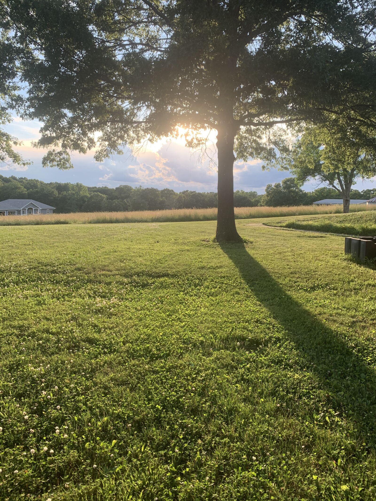 Apple iPhone XR sample photo. Sun, missouri, sky photography