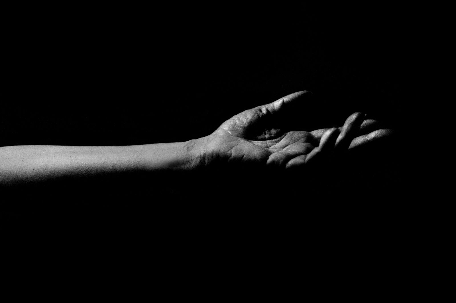 Nikon D3200 sample photo. Hands, black, white photography