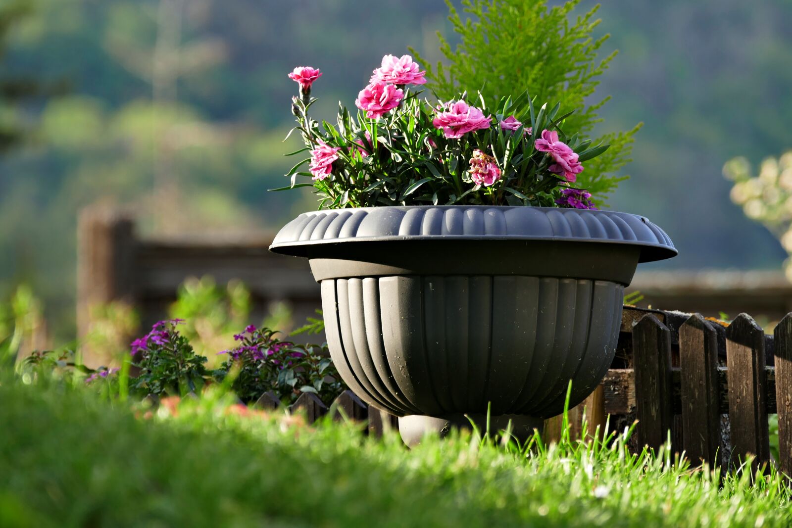 Panasonic Lumix DMC-FZ1000 sample photo. Garden, planters, flowers photography