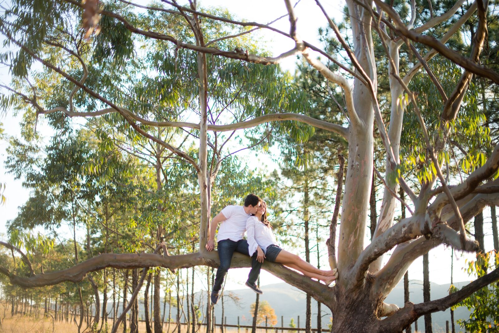 Nikon D600 sample photo. Tree, forest, couple photography