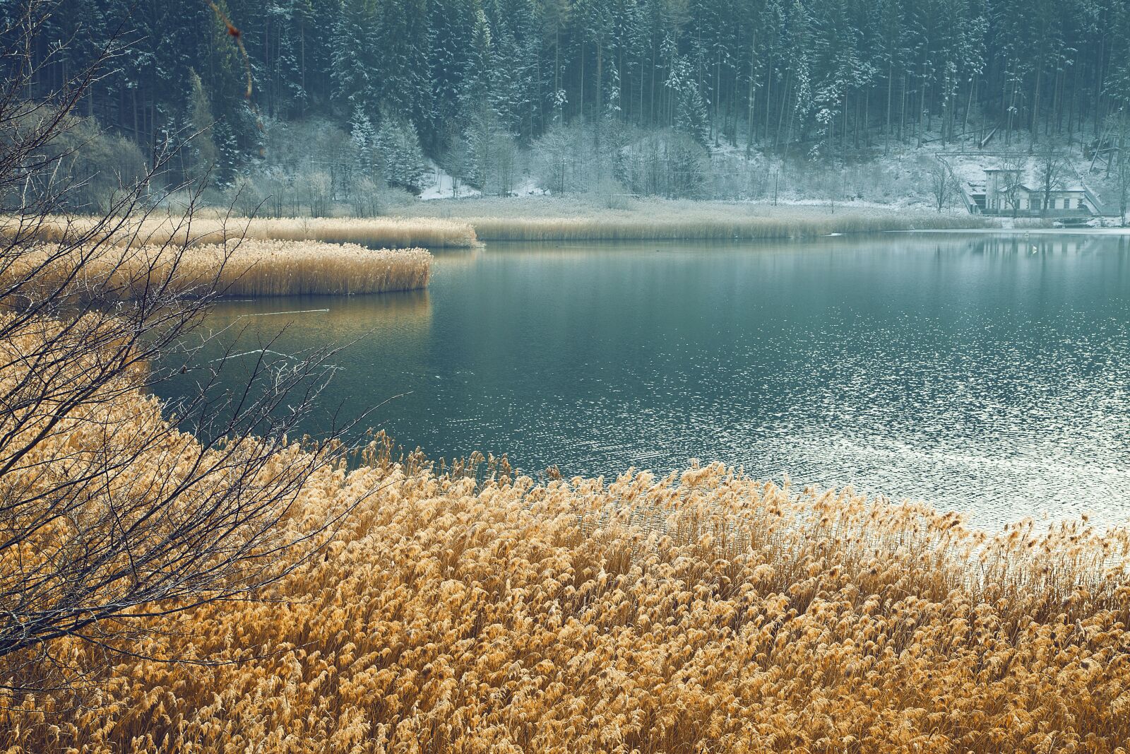 Canon EOS 5D Mark II sample photo. Lake, trentino, nature photography