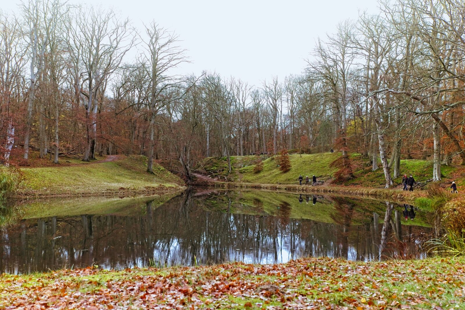 Canon EOS 6D Mark II sample photo. Pond, nature, trees photography