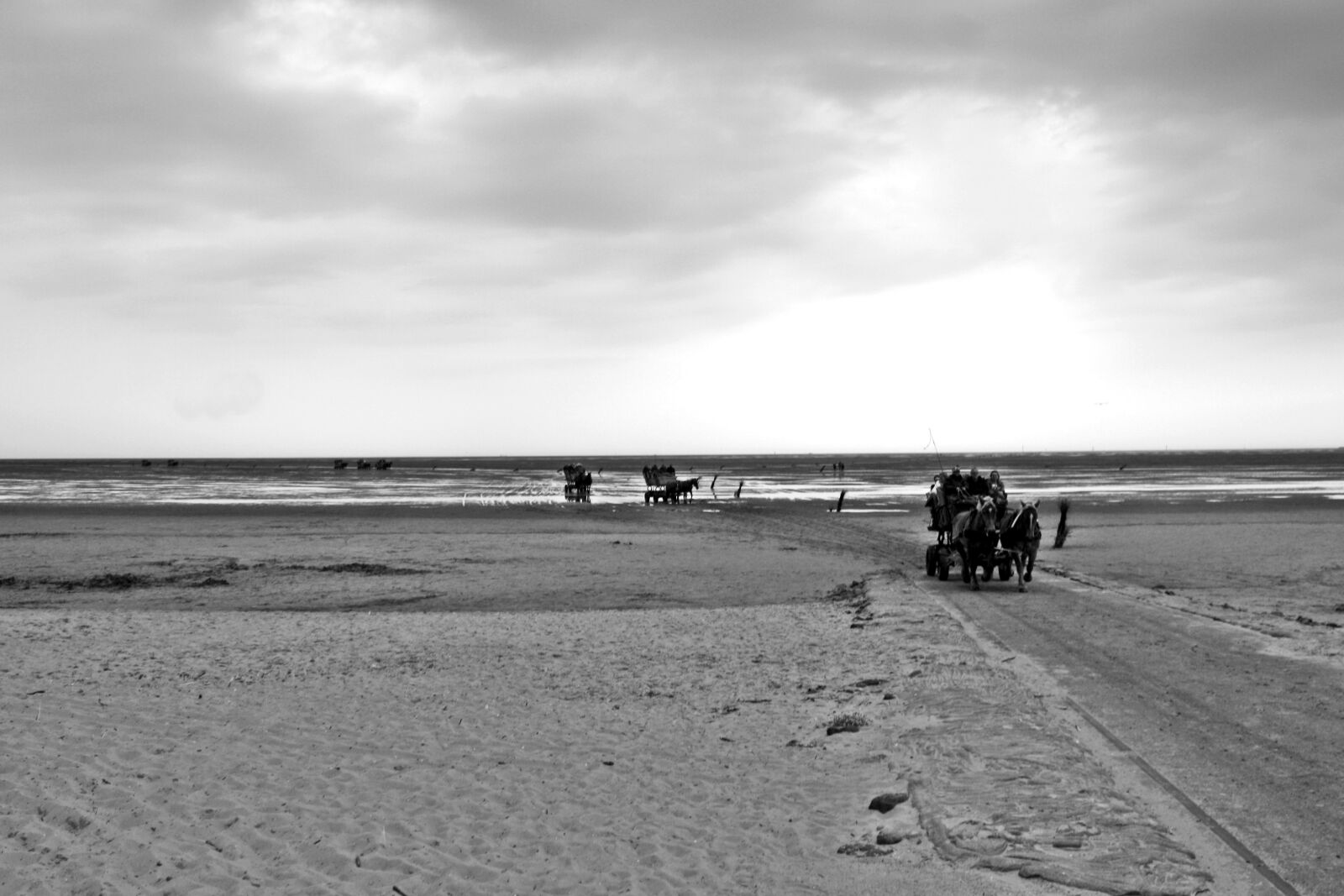 Canon EOS 1000D (EOS Digital Rebel XS / EOS Kiss F) sample photo. North sea, wadden sea photography