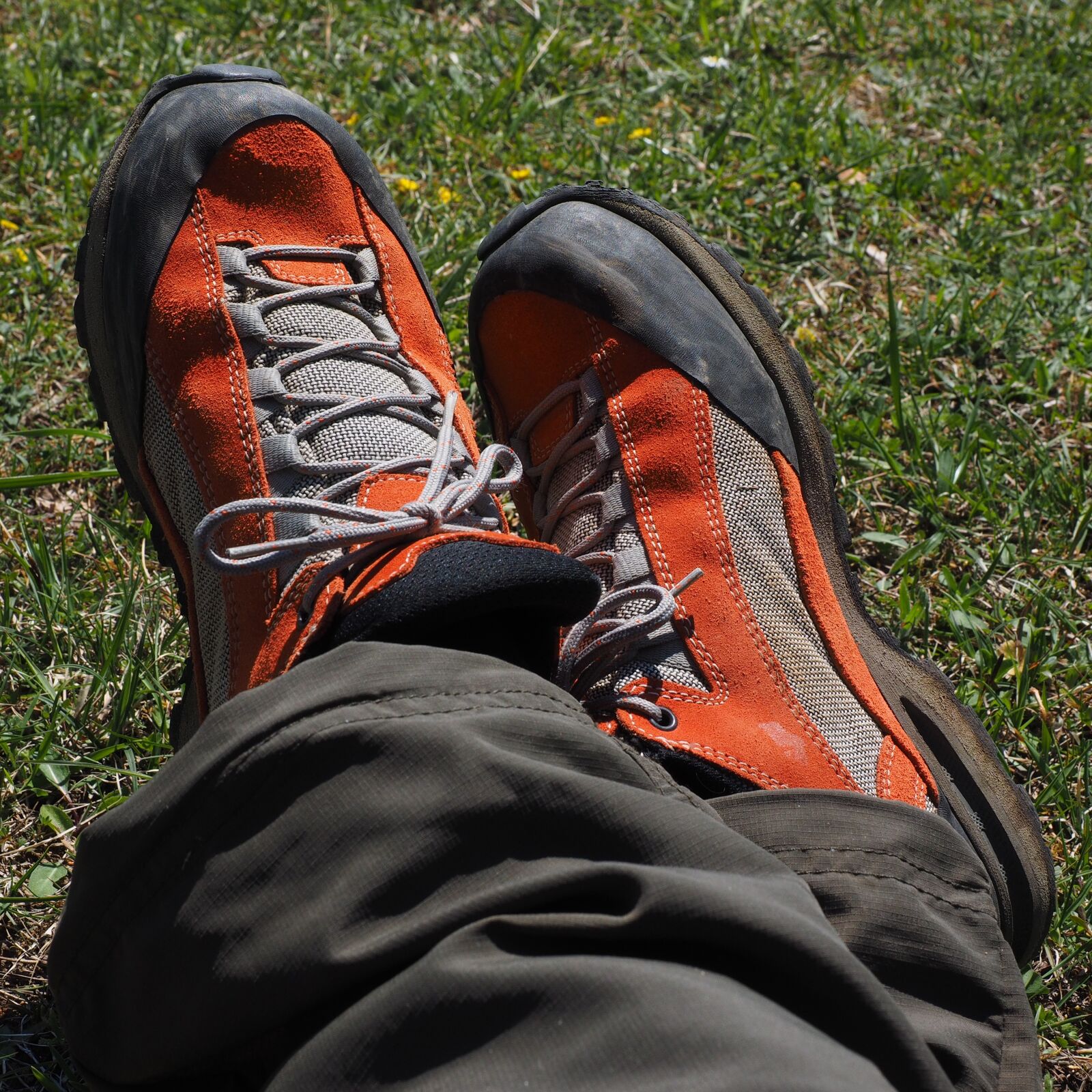Olympus OM-D E-M1 + Olympus M.Zuiko Digital ED 12-40mm F2.8 Pro sample photo. Shoes, hiking shoes, alpine photography