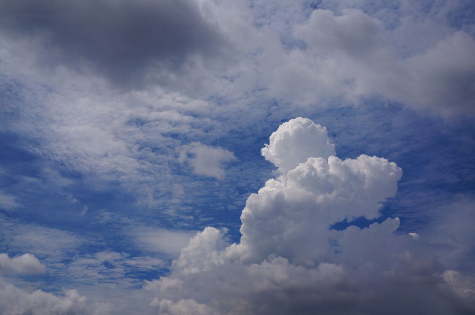 Sony Alpha NEX-F3 + Sony E 18-55mm F3.5-5.6 OSS sample photo. The cloud, noon, bobbing photography