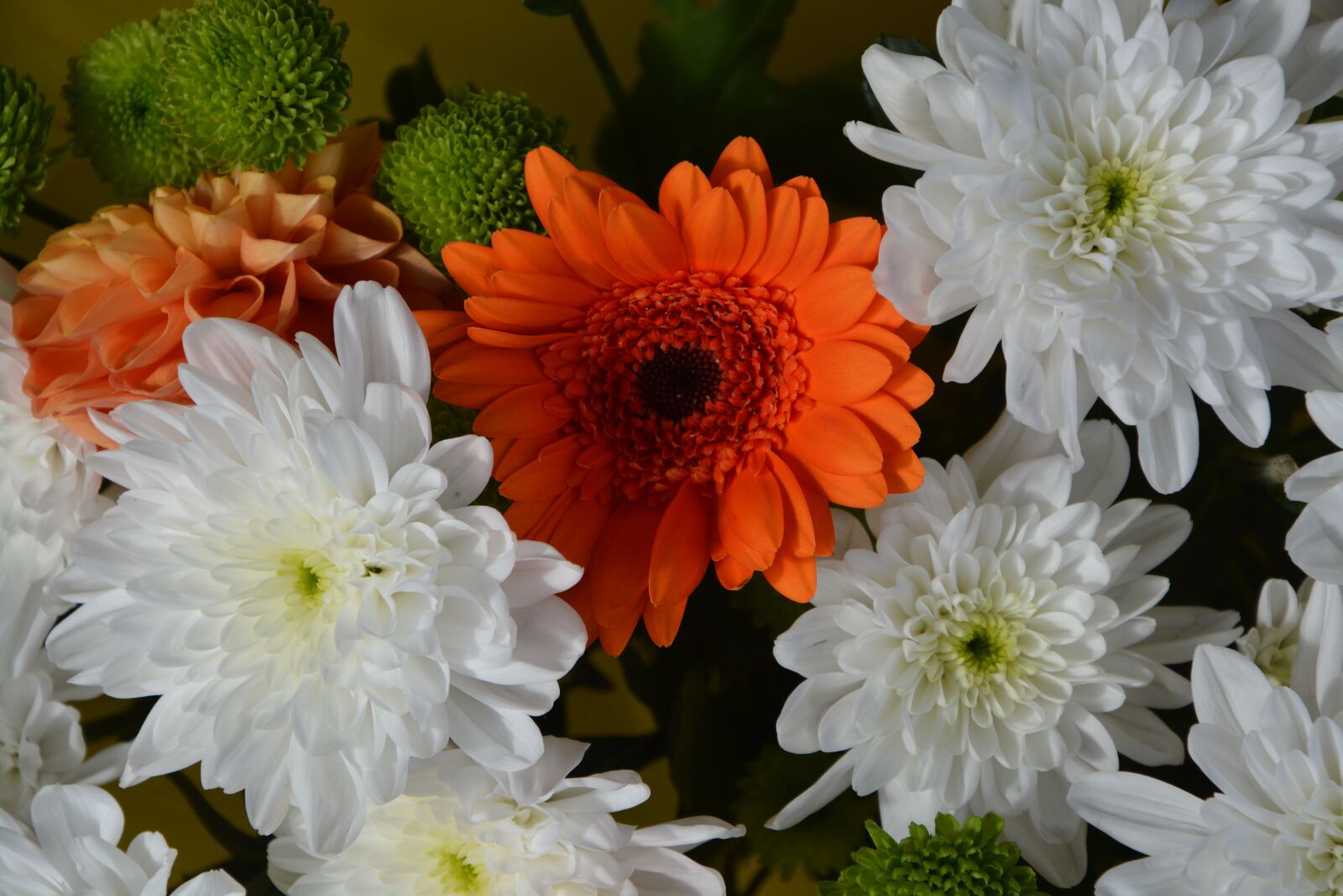 Nikon D5200 sample photo. Composition floral, white flowers photography