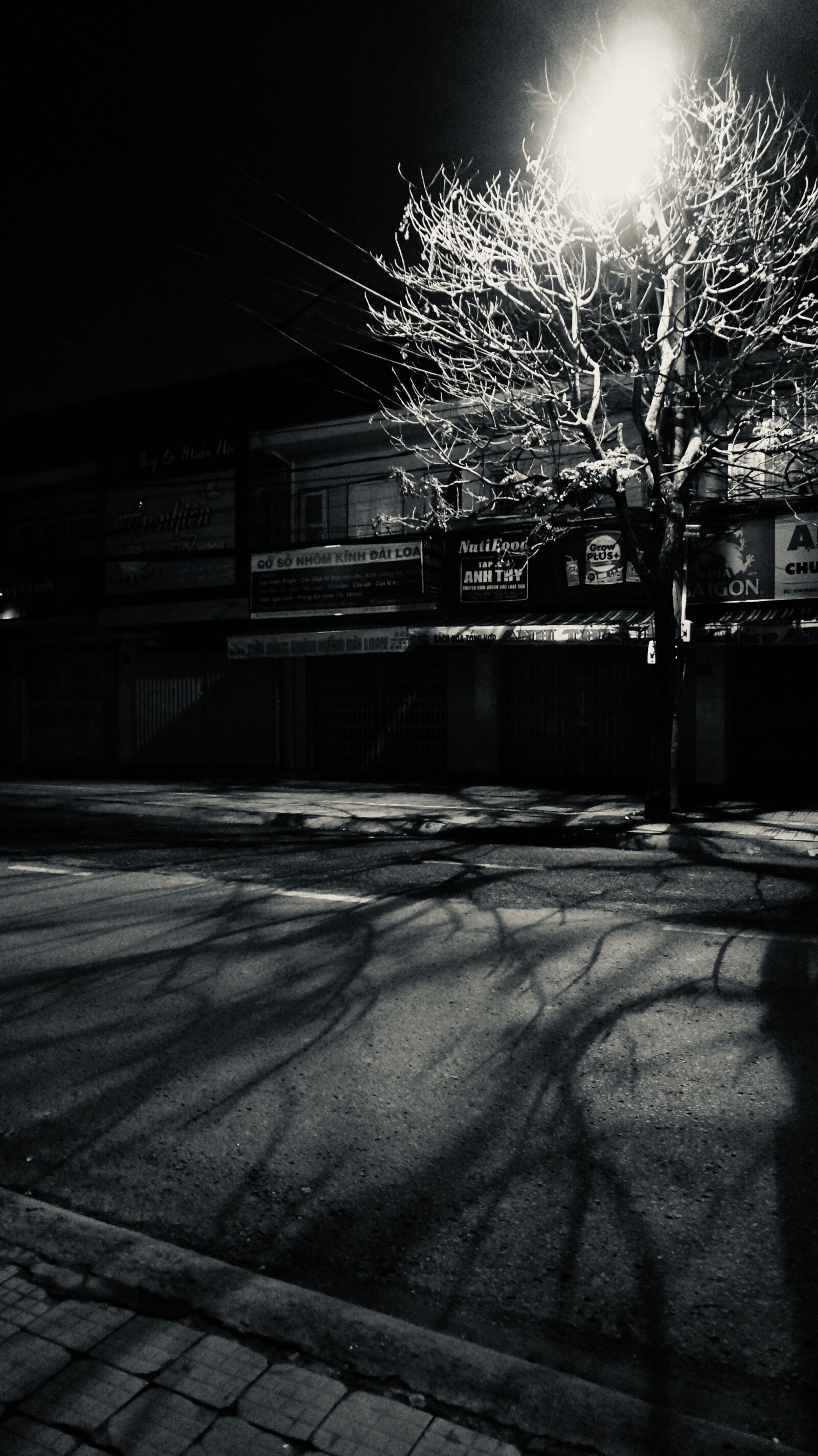 Sony Alpha NEX-5R sample photo. Shadow, tree, night photography