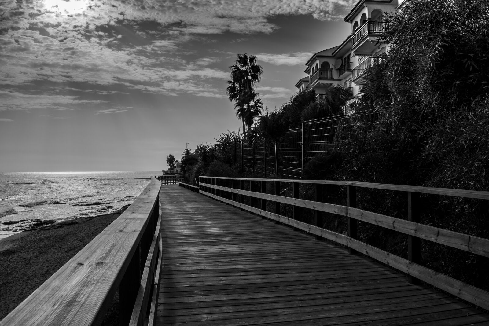 Nikon D5500 sample photo. Walk, black and white photography