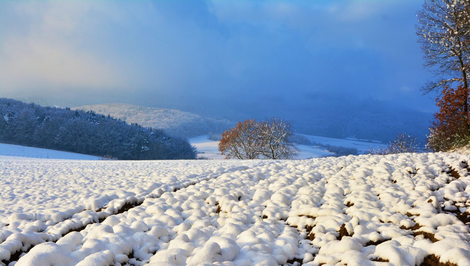Nikon D5200 sample photo. Winter, wintry, snow photography