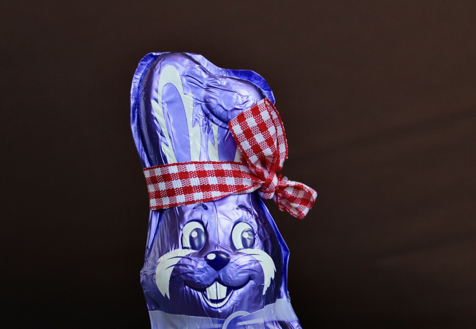 Canon EOS 2000D (EOS Rebel T7 / EOS Kiss X90 / EOS 1500D) sample photo. Easter bunny, bandana, easter photography