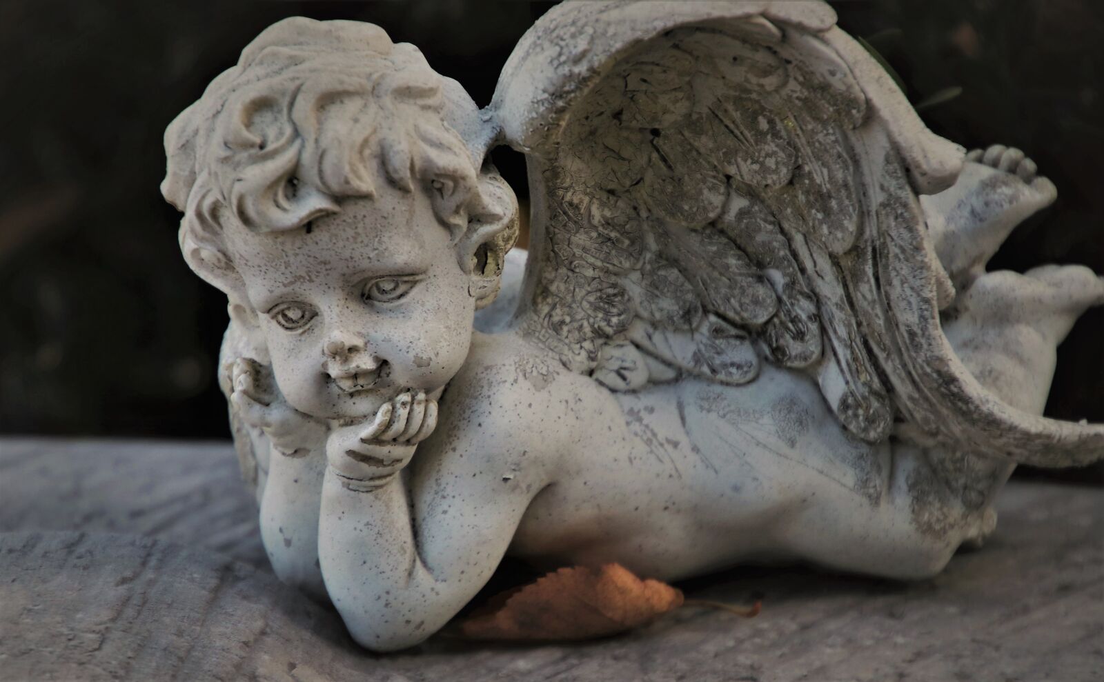 Canon EOS 80D sample photo. Wing, guardian angel, tombstone photography