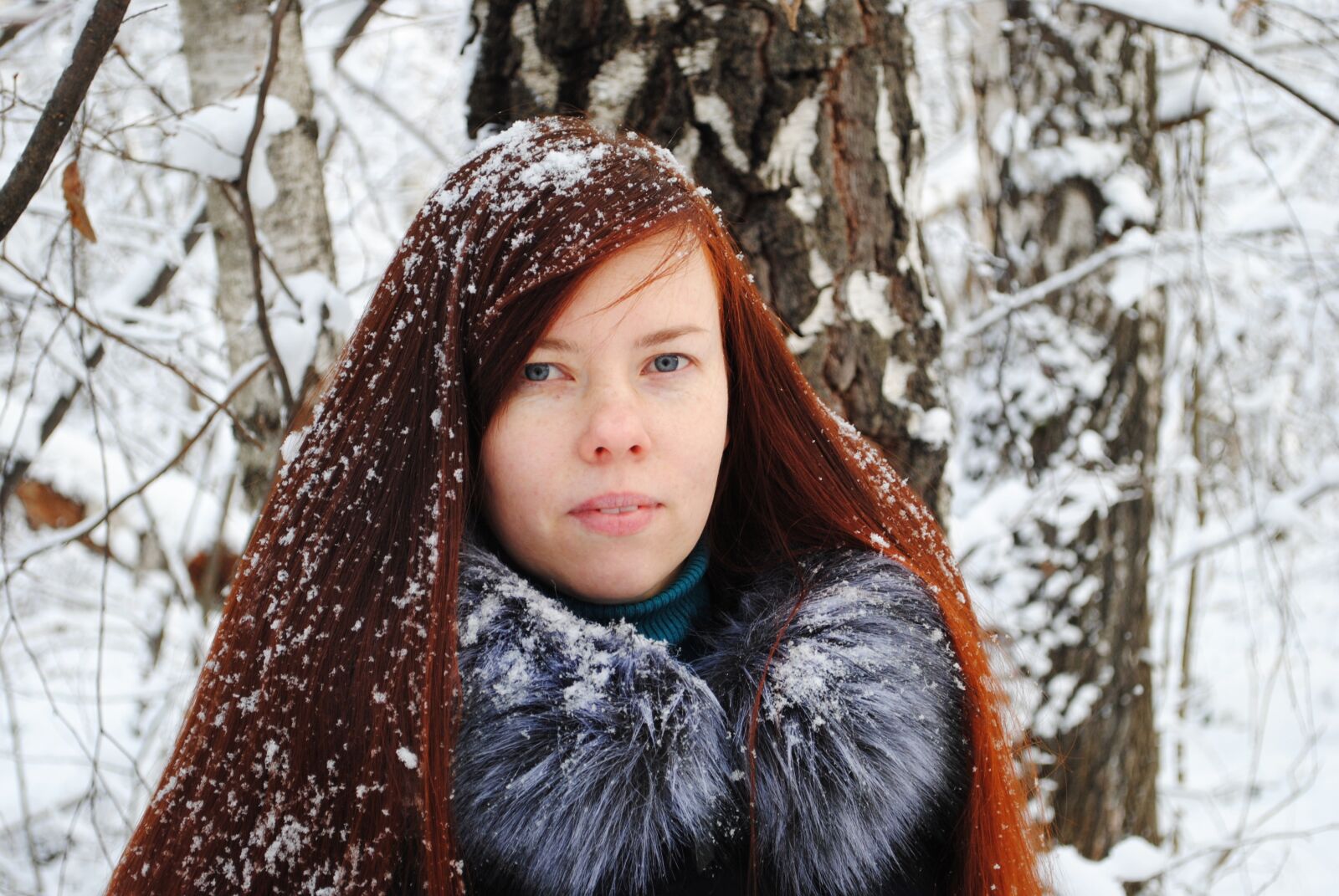 Nikon D3000 sample photo. Winter, coldly, snow photography