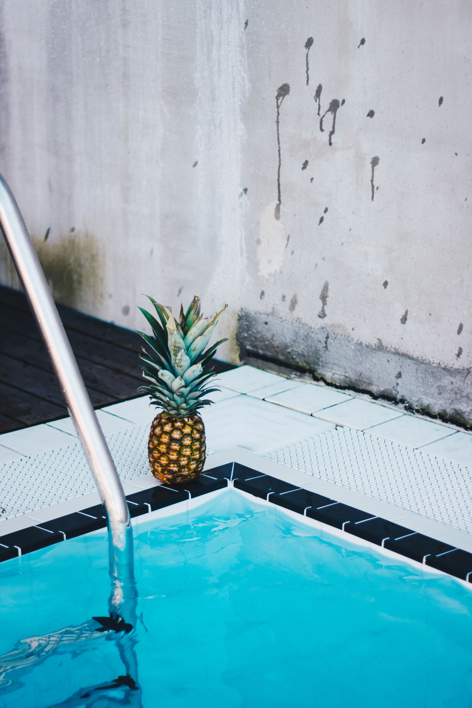 Canon EOS 600D (Rebel EOS T3i / EOS Kiss X5) + Canon EF 50mm F1.8 II sample photo. Pineapple, beside, the, swimming photography