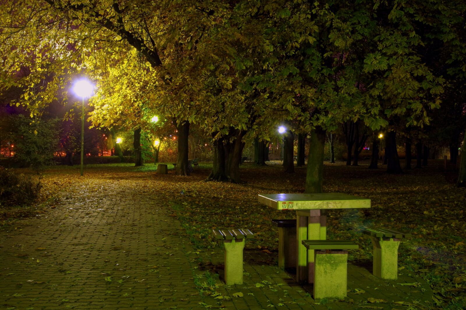 Pentax K-S2 sample photo. Park, evening, night photography