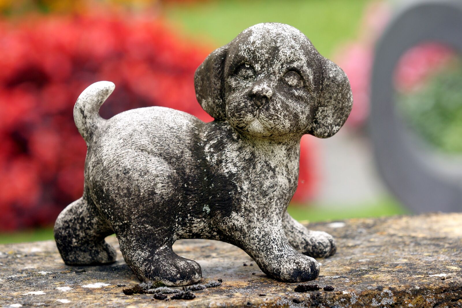 Sony Alpha DSLR-A700 sample photo. Dog, sculpture, stone photography