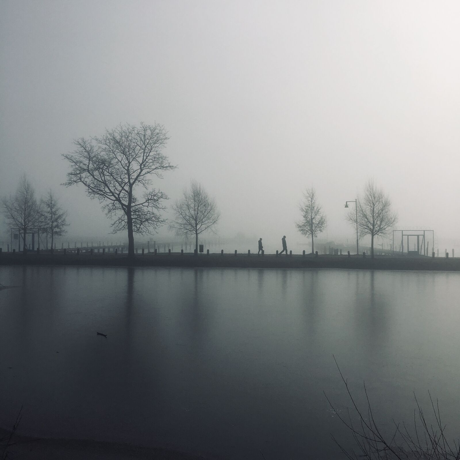 Apple iPhone 6s sample photo. Mist, walk, light photography