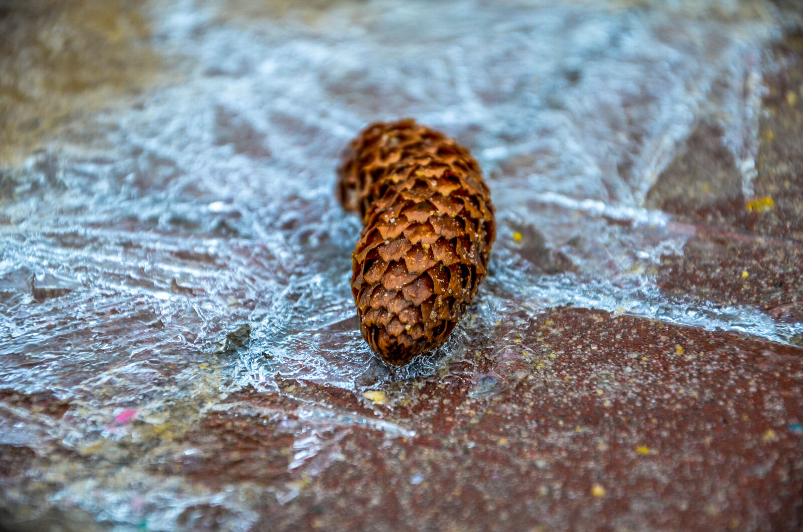 Nikon D5100 sample photo