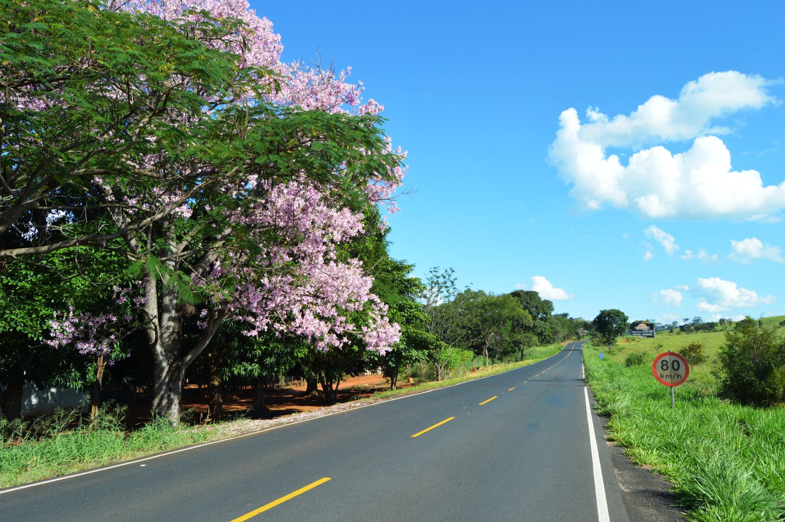 Nikon D3200 sample photo. Road, destiny, trip photography