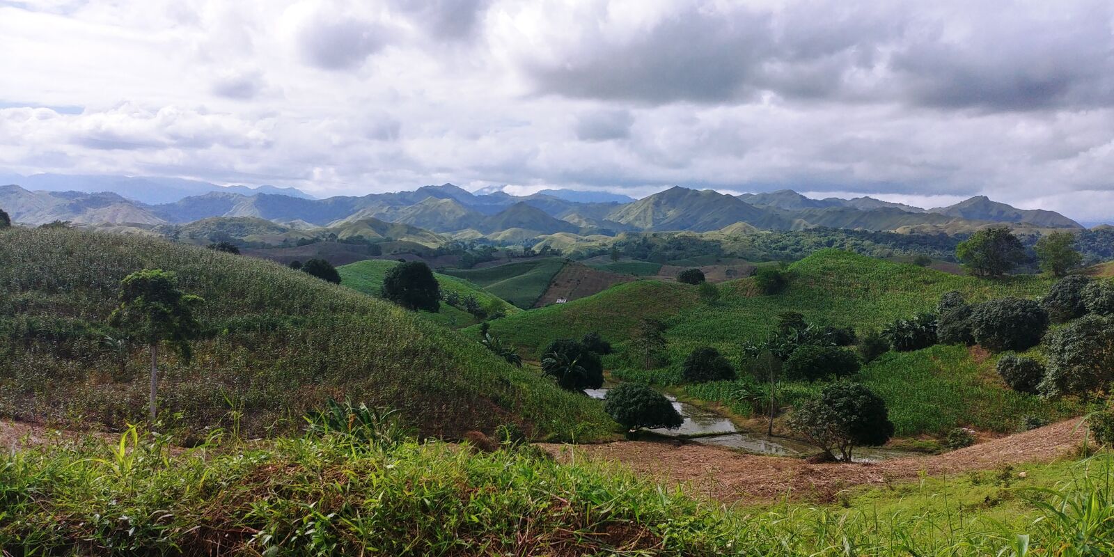 LG G6 sample photo. Philippines, fields, agriculture photography