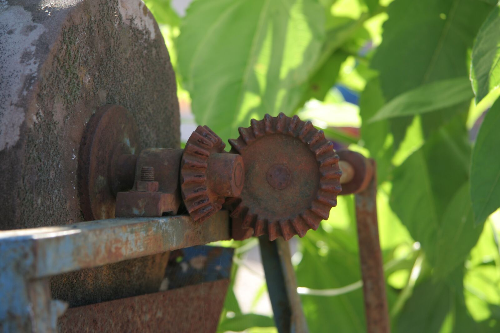 Canon EOS 350D (EOS Digital Rebel XT / EOS Kiss Digital N) sample photo. Grindstone, grinding stone, hone photography