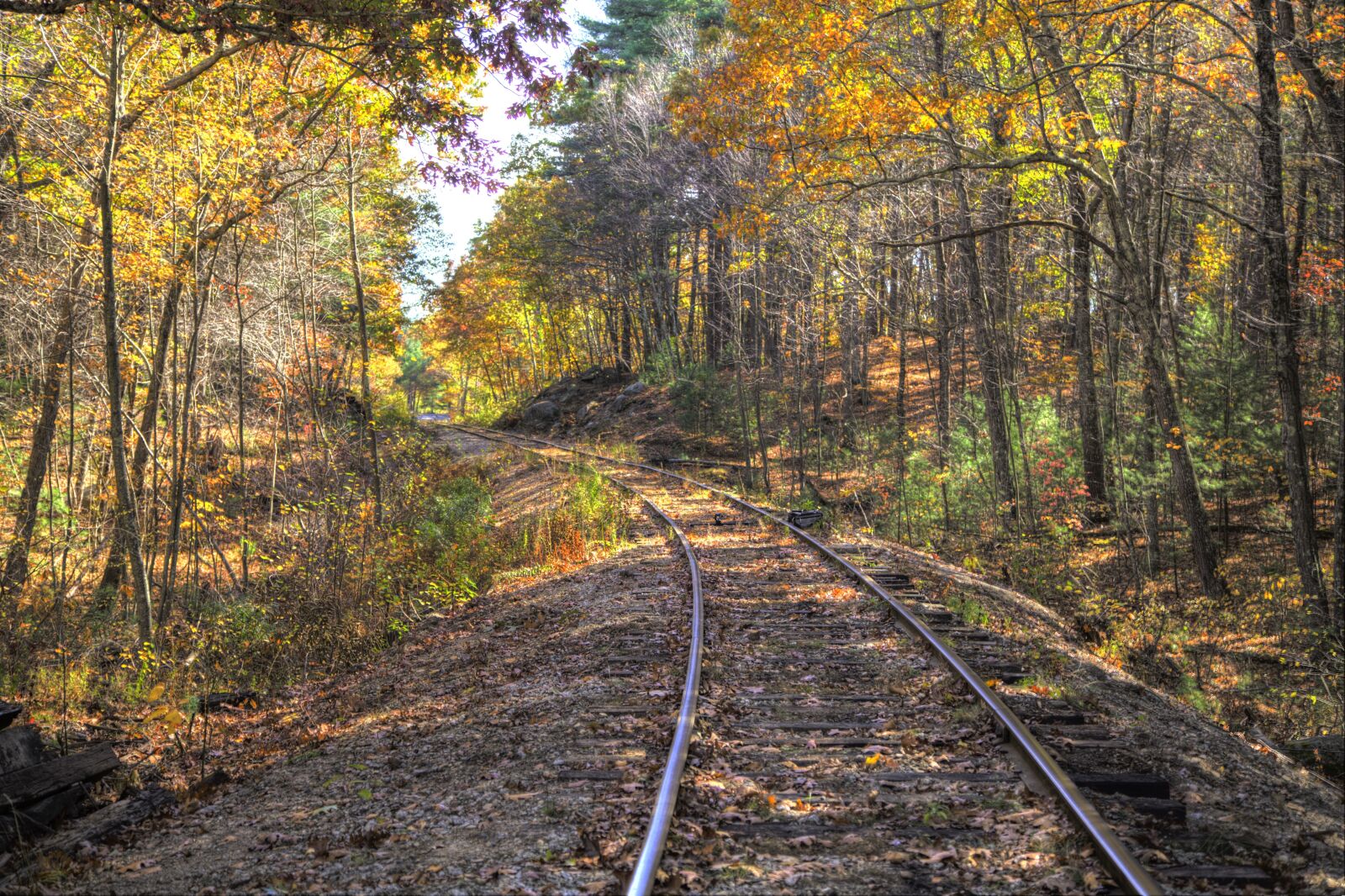 Canon EOS 5D Mark II sample photo. Train tracks, country, fall photography
