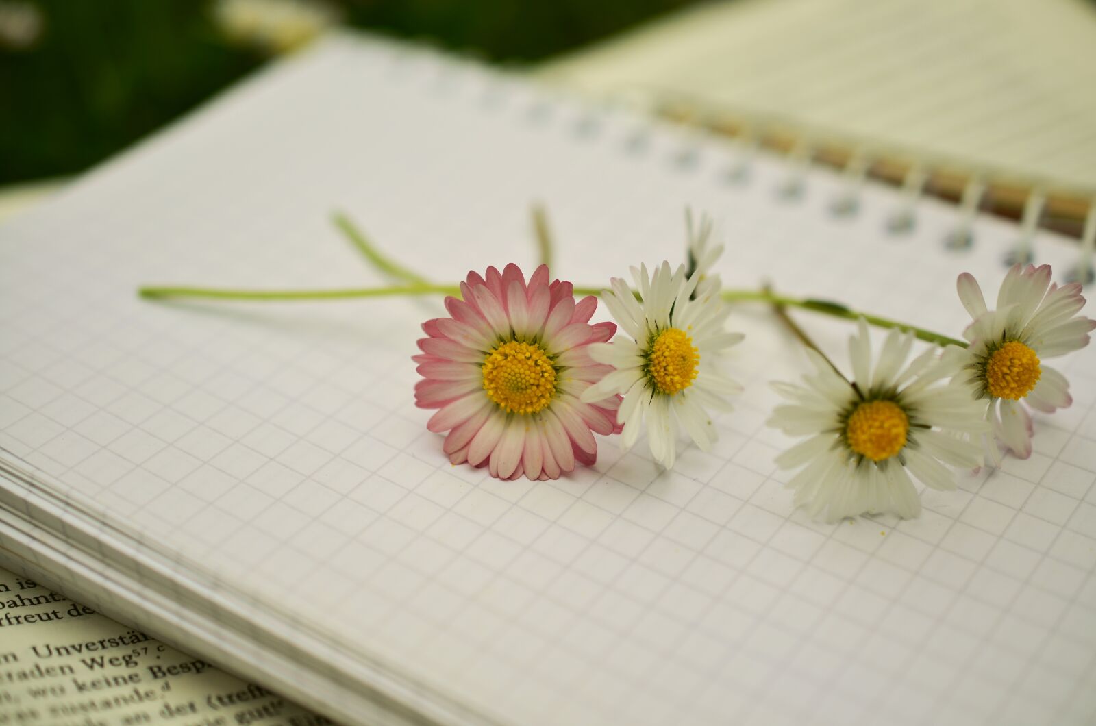 Nikon D5100 sample photo. Notebook, book, book pages photography