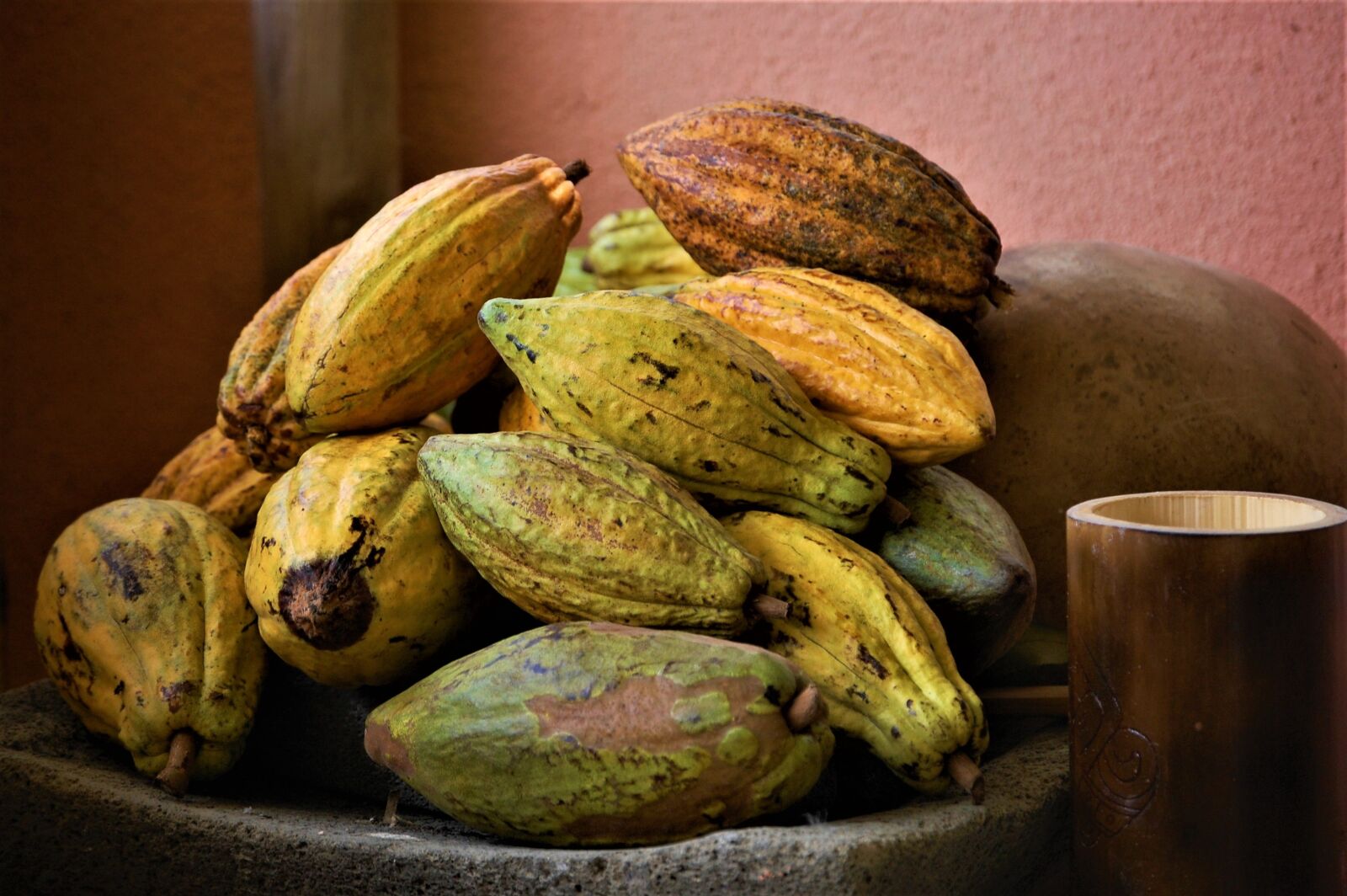 Nikon D40 sample photo. Cacao, cacao tour, belize photography