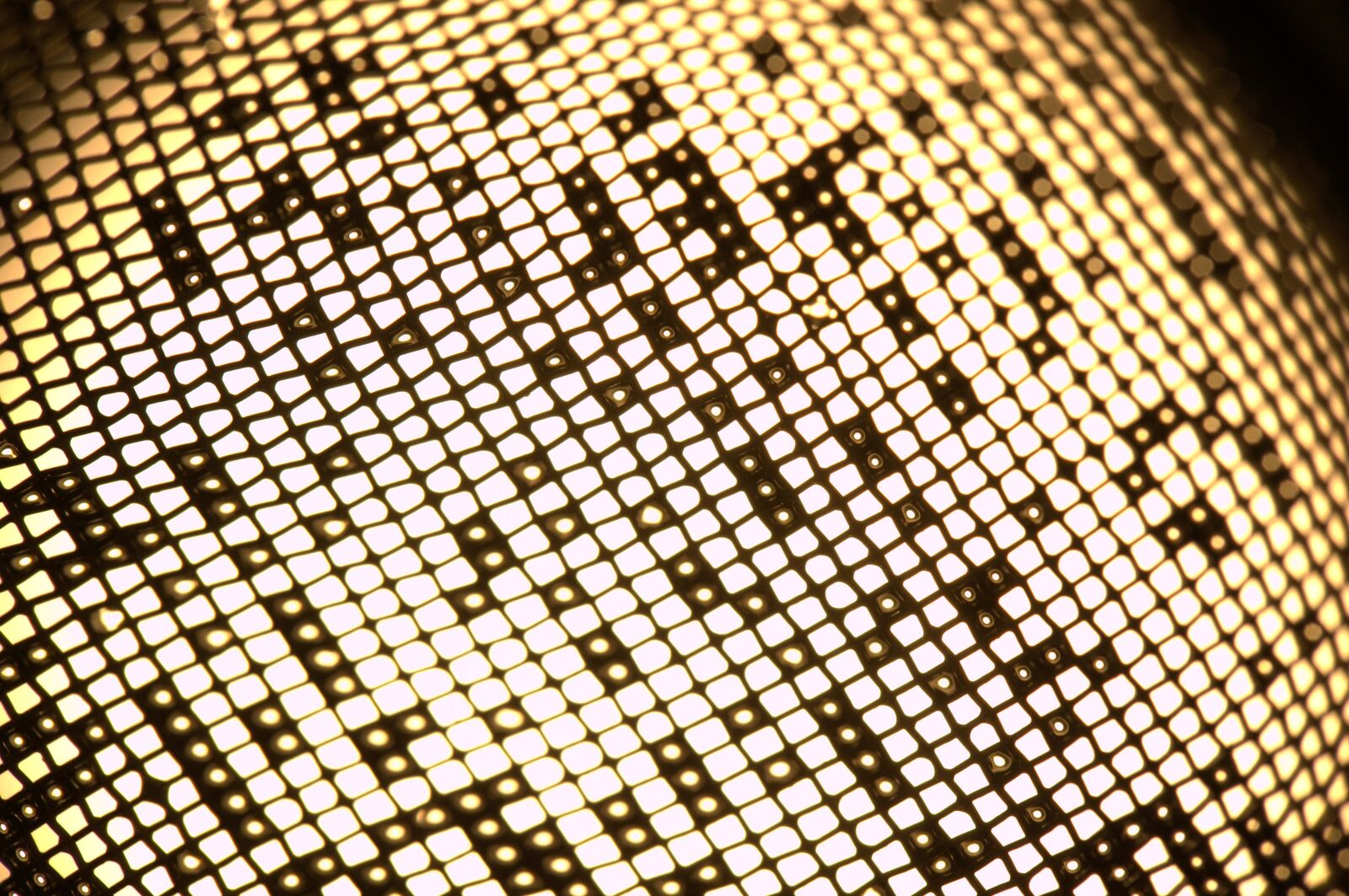 Nikon D3100 sample photo. Strainer, network, yellow photography