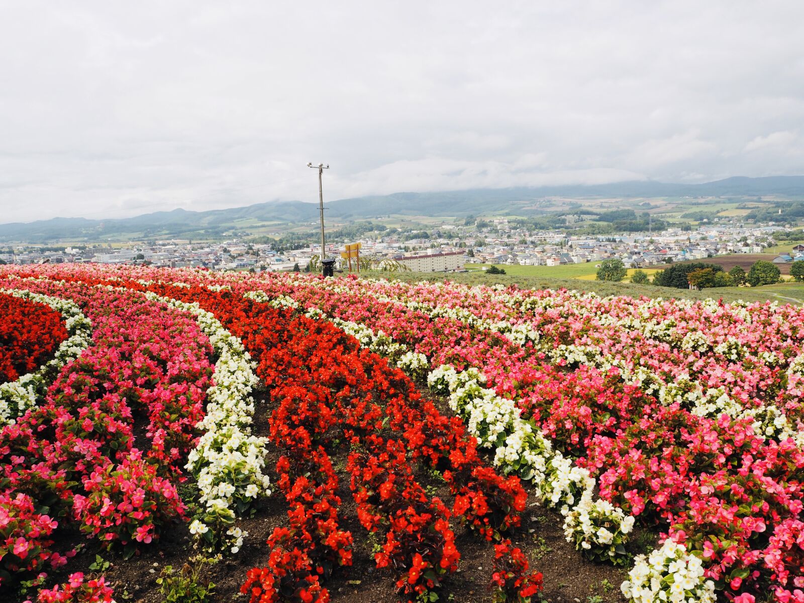 Olympus PEN E-PL7 sample photo. Japan, hokkaido, furano photography