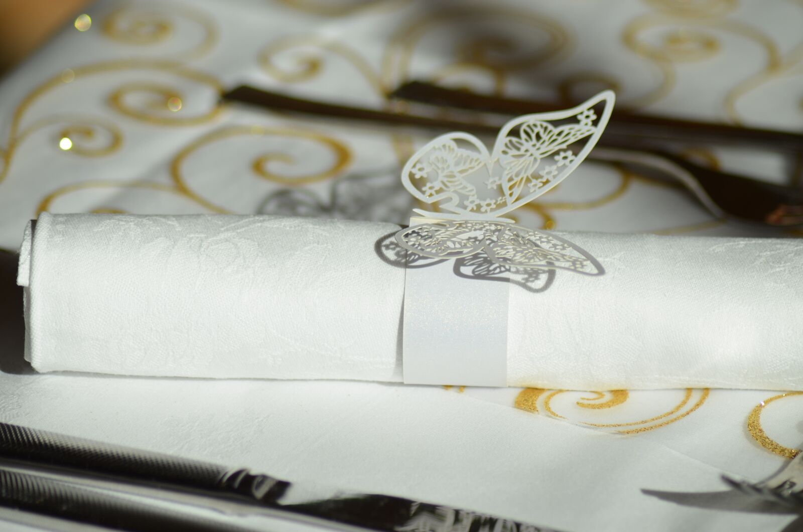 Nikon D5100 sample photo. Napkin ring, napkin paper photography