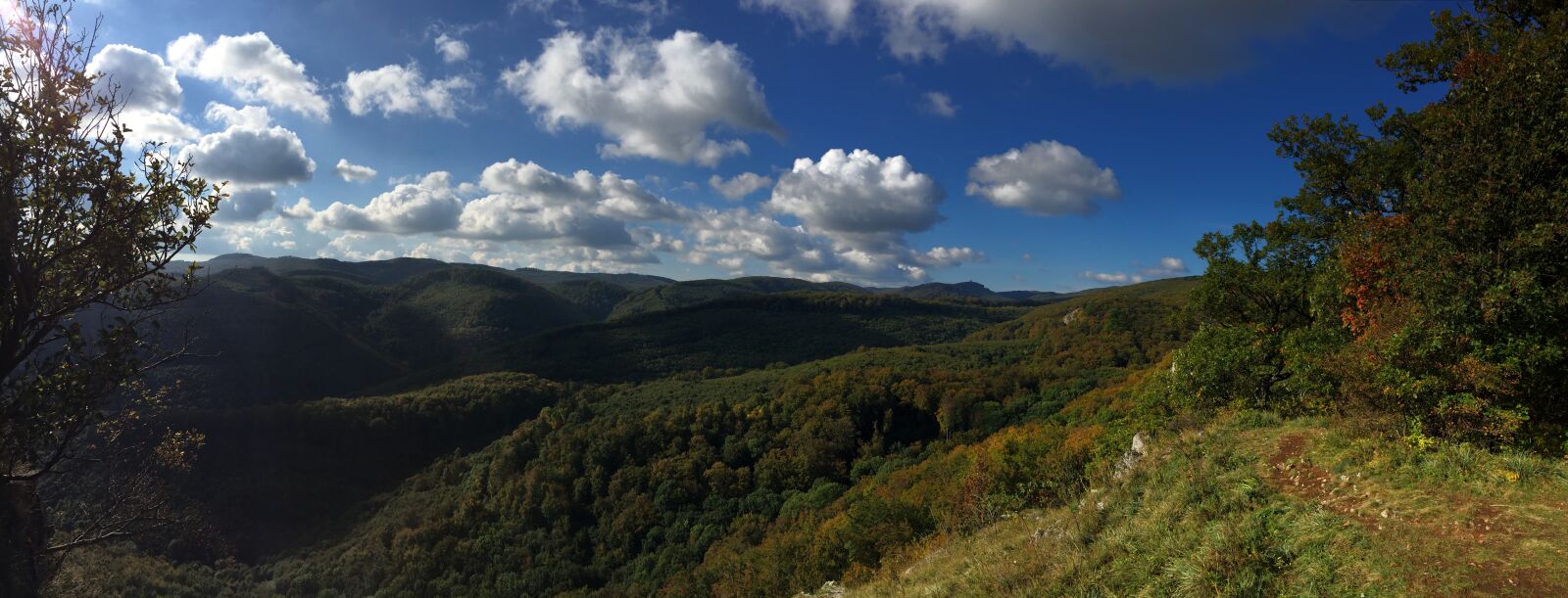 iPhone 6 back camera 4.15mm f/2.2 sample photo. Panorama, autumn, clouds photography