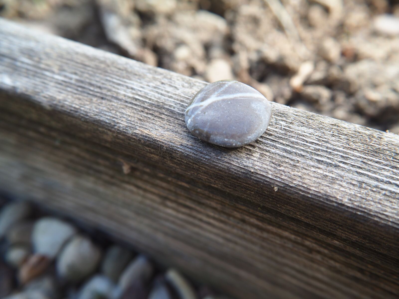 Olympus OM-D E-M10 sample photo. Stone, pebble, background photography