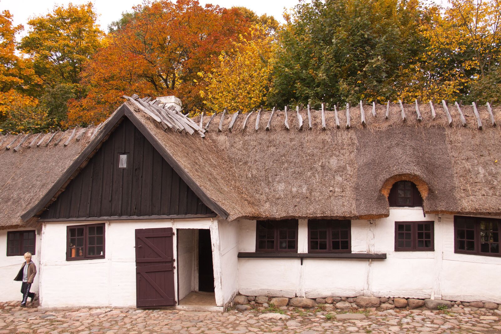Canon EOS 50D sample photo. The open-air museum, farmhouse photography