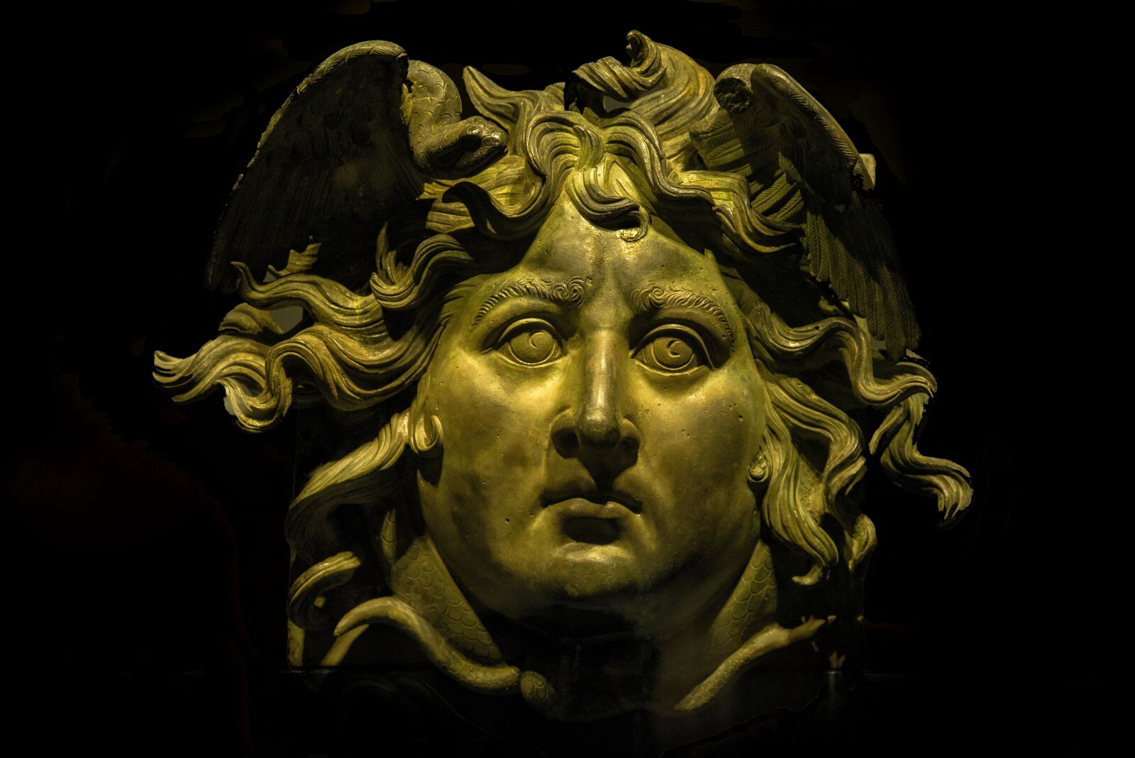 Pentax K-1 Mark II sample photo. Gorgon, medusa, head photography