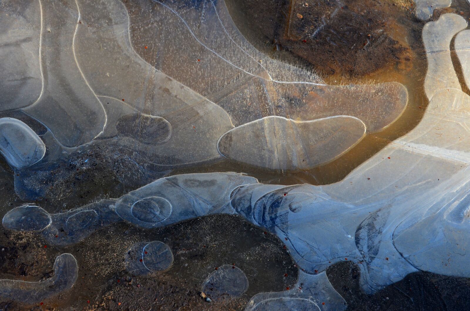 Nikon D5100 sample photo. Ice, winter, nature photography