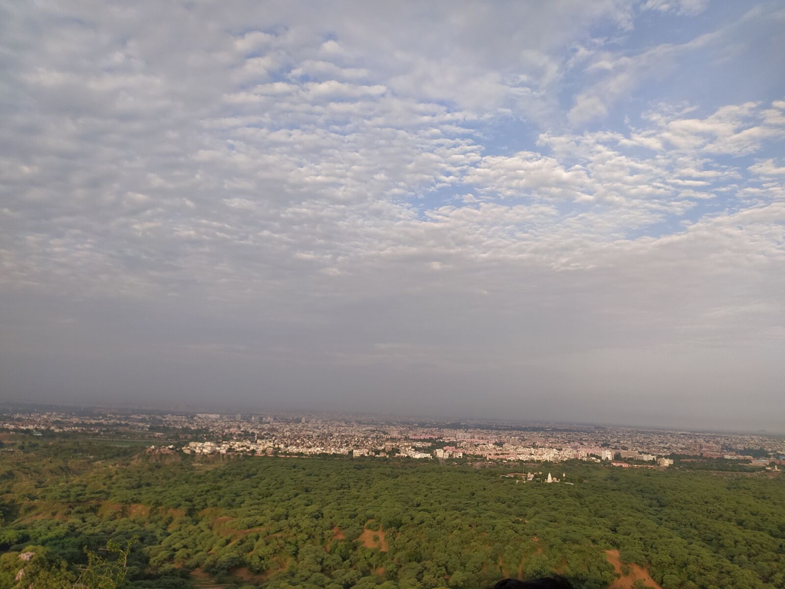 Xiaomi Redmi Note 8 sample photo. Sky, green, nature photography