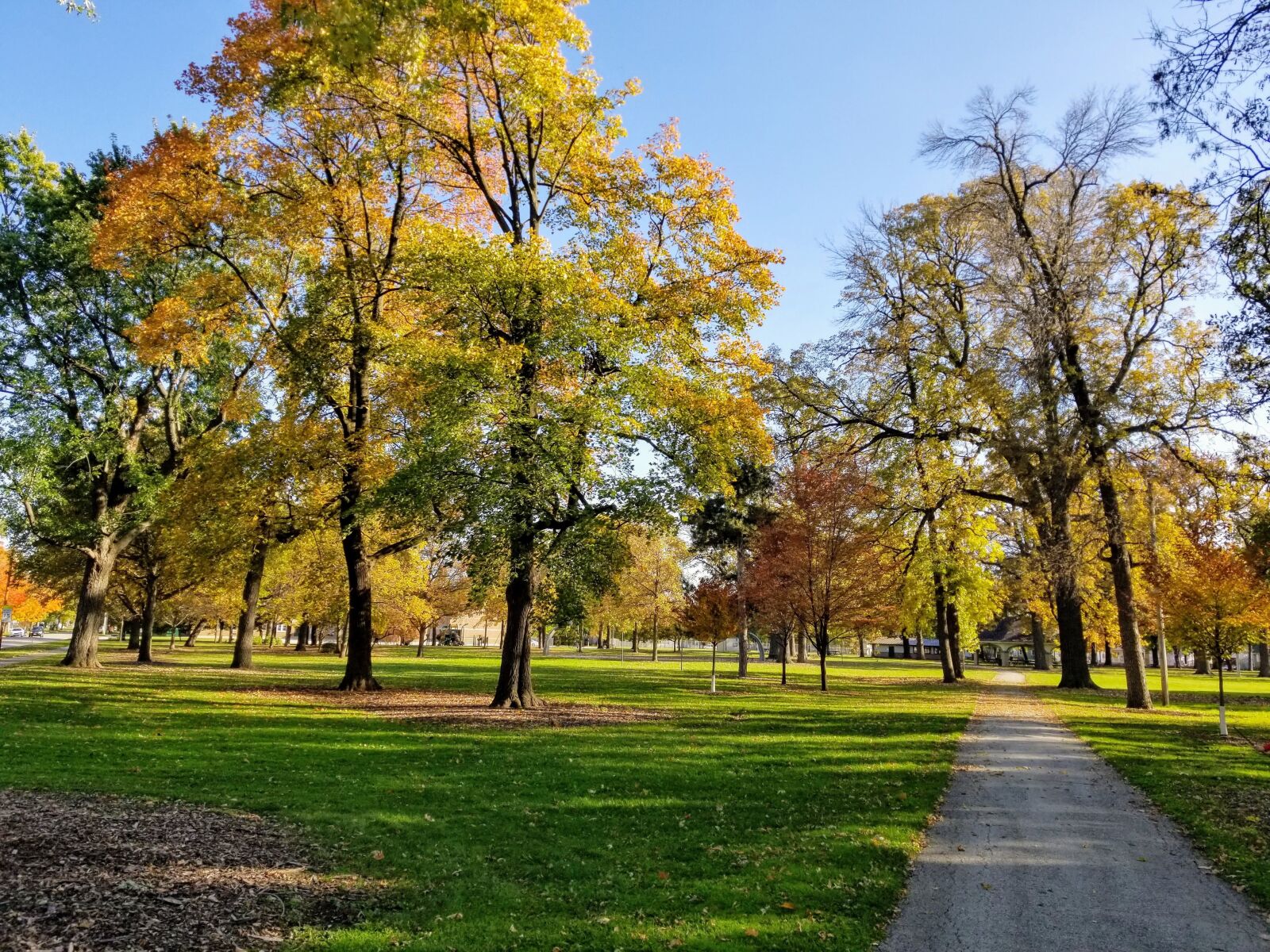 Samsung Galaxy S8 sample photo. Fall, park, autumn photography