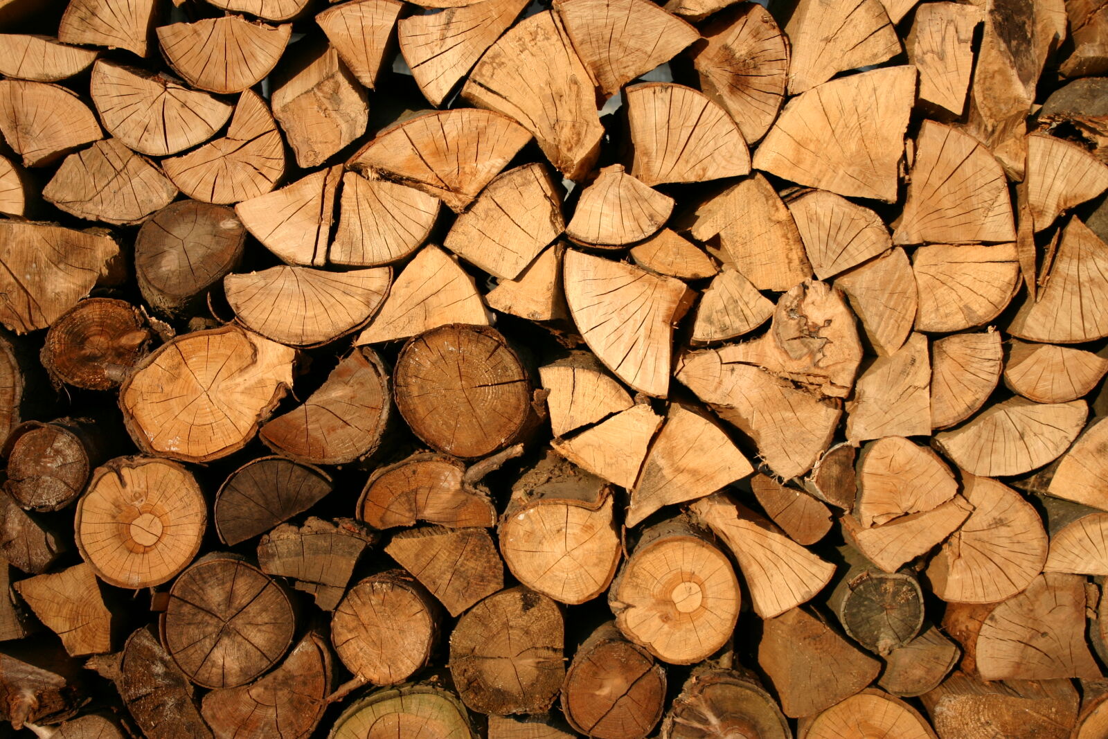 Canon EOS 300D (EOS Digital Rebel / EOS Kiss Digital) sample photo. Brown, firewood photography